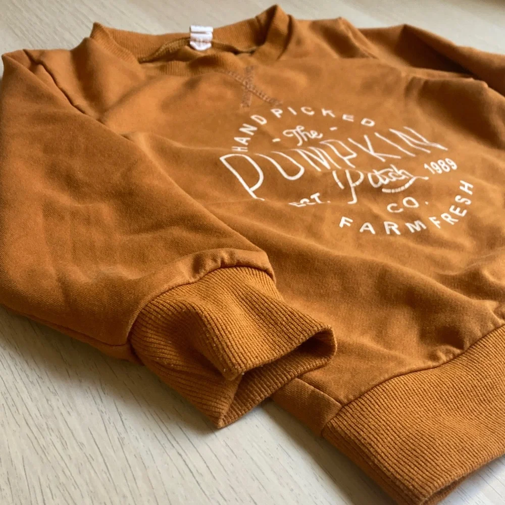 Size 24 month Pumpkin Patch Kids Rust Orange Crewneck Sweatshirt, Cotton Fall